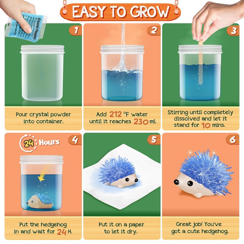 XX Crystal Growing Kit for Kids - 4 Vibrant Colored Hedgehog to Grow - Science Kits for Kids Age 6-8, Toys for Boys Age 8-12, Great Gifts Idea for 9 Year Old Girls, STEM Projects - Image 5